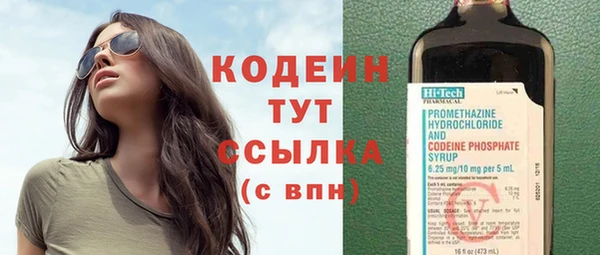 гашик Елизово