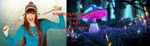 стафф Заволжье