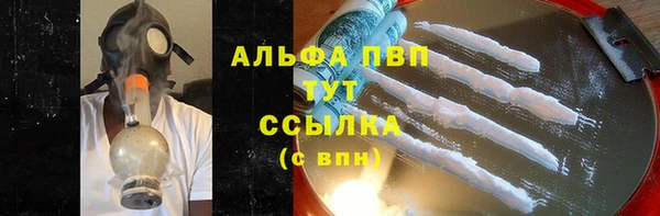 ECSTASY Ельня