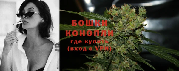 гашик Елизово