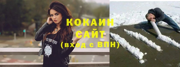 ECSTASY Ельня
