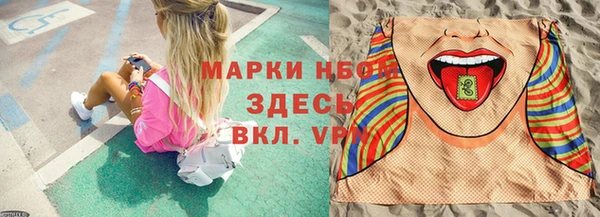 гашик Елизово