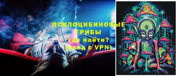 ECSTASY Ельня