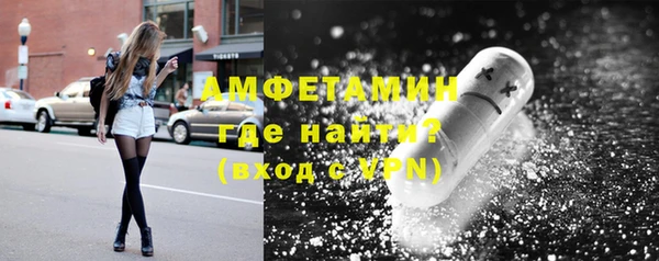 ECSTASY Ельня